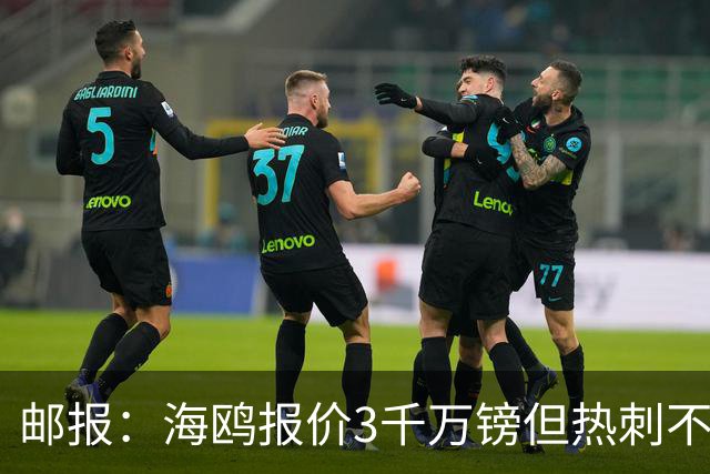 邮报：海鸥报价3千万镑但热刺不愿卖武什科维奇 巴萨国米拜仁关注